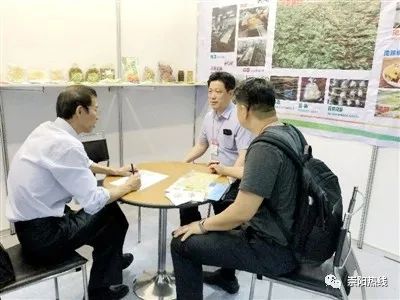 湖北致富项目_致富经湖北种植什么_湖北农村种植什么赚钱不愁销路