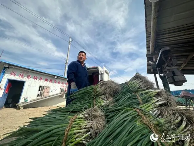 致富经山东丁华东_致富经山东丁华东_致富经山东丁华东