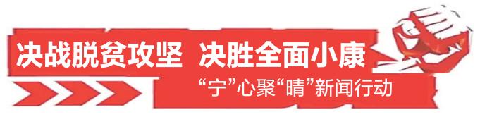 土鸡养殖致富经视频_土鸡养殖致富经2019年全集_致富经农村养土鸡视频