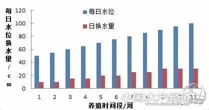 南美白对虾仿生态养殖技术_南美白对虾高效生态养殖新技术_南美白对虾仿生态养殖技术书籍