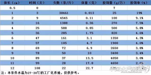 南美白对虾高效生态养殖新技术_南美白对虾仿生态养殖技术书籍_南美白对虾仿生态养殖技术