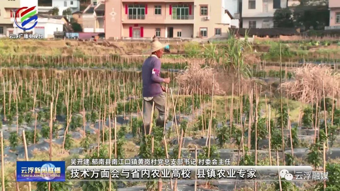 种植致富新项目_种植致富经_致种植致富