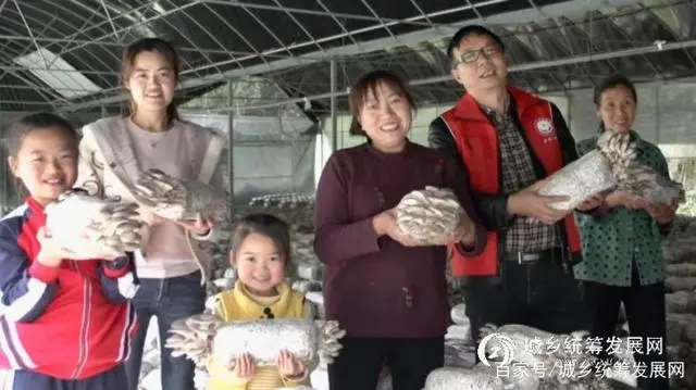 种植食用菌致富经验_种植食用菌前景怎么样_致富种植食用菌经验交流