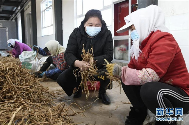 创业致富的养殖方法有_致富养殖什么最赚钱_致富养殖创业方法有几种