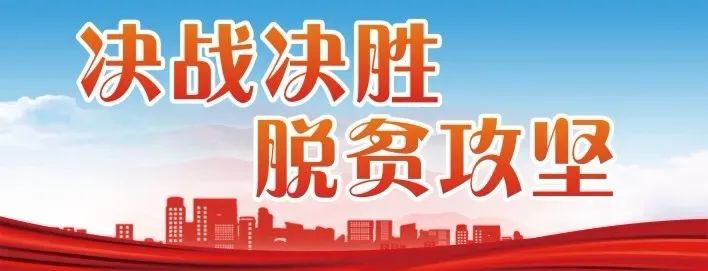 乳源方武：丝苗姜“种出”脱贫致富路