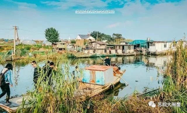 实拍阳澄湖大闸蟹养殖基地，终于知道这里的大闸蟹为什么那么贵了