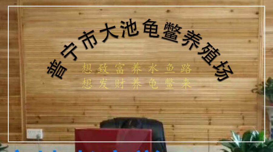 好消息：普宁大池农场养殖场，免费技术指导一条龙无忧、包回收售服务~