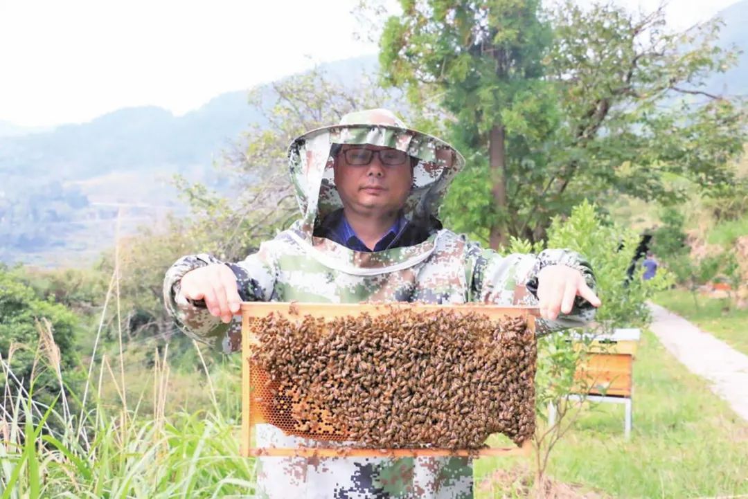 浙江丽水养殖基地_浙江丽水养殖致富_浙江丽水养猪政策