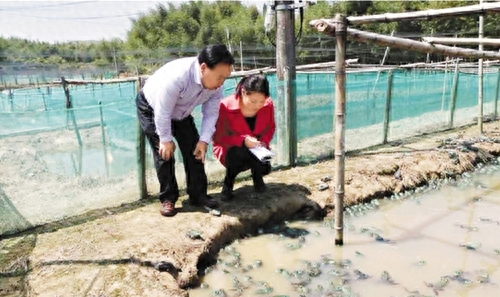 农民致富有门道，养蛙竟然30亩地赚百万