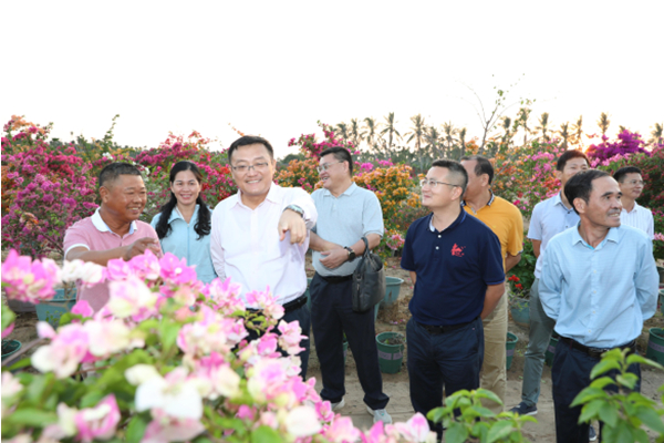 种哈密瓜需要什么条件_哈密瓜种植技术_农业哈密瓜种植技术