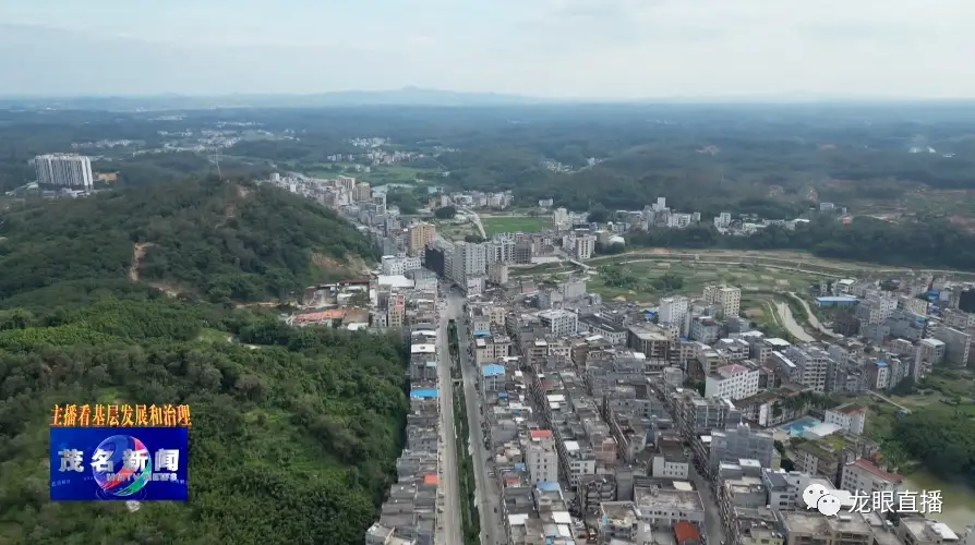 致富经种植药材视频_致富经药材种植业完整版_南药种植致富