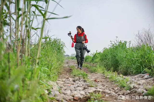 致富经莲藕种植视频_致富经种莲藕_莲藕种植效益