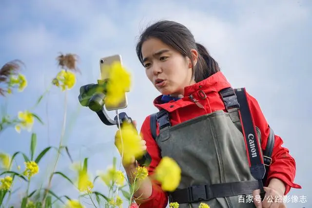 致富经莲藕种植视频_致富经种莲藕_莲藕种植效益