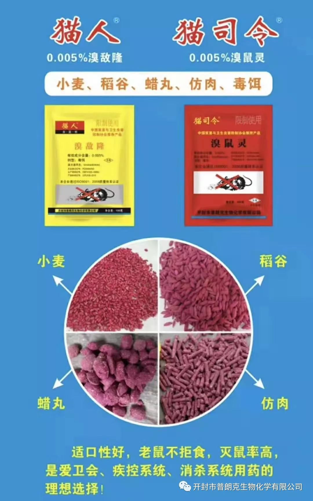 老鼠养殖成本及利润_冬毛老鼠的散养殖技术_老鼠养殖视频致富经