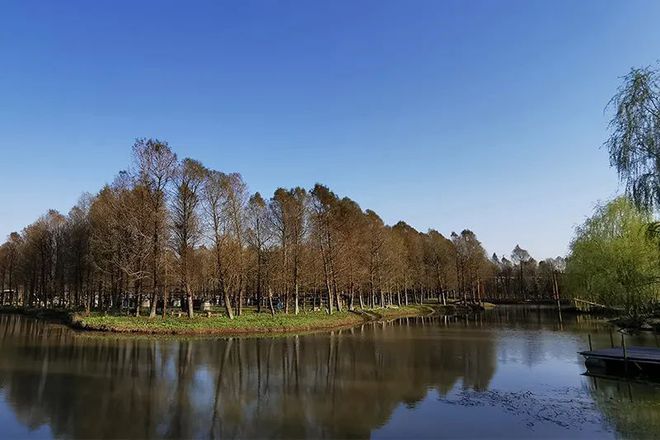 农业哈密瓜种植技术_种哈密瓜需要什么条件_种植哈密瓜的气候条件