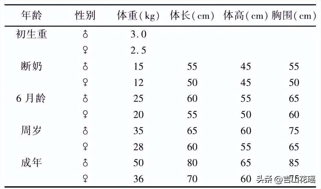 北川白山羊提纯复壮选育及高效养殖技术