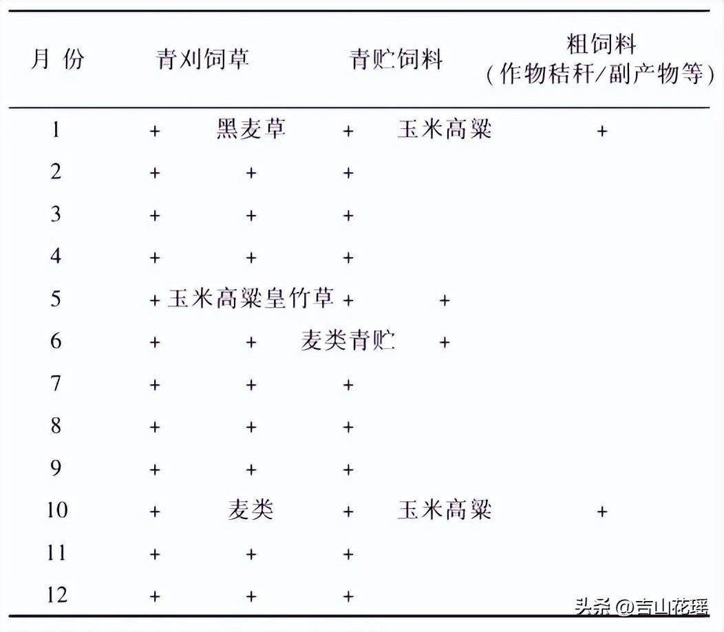 山羊养殖场视频_山羊养殖蒙山技术视频_蒙山山羊养殖技术