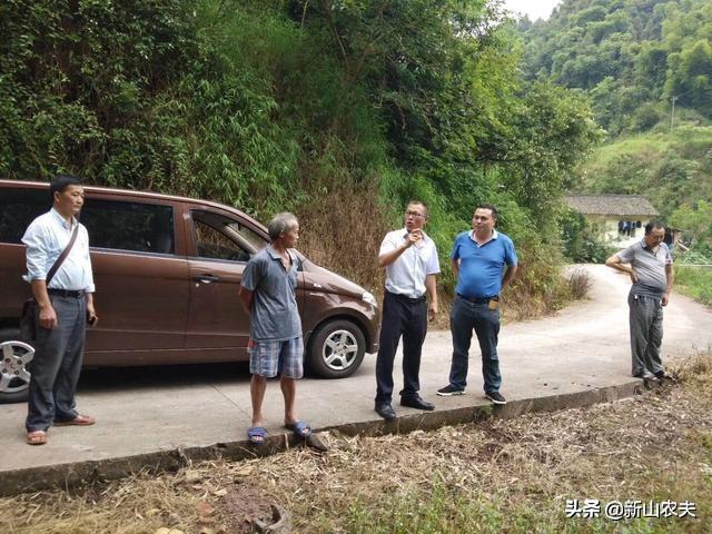 致富经 竹荪_竹荪经济效益_致富经竹荪种植视频