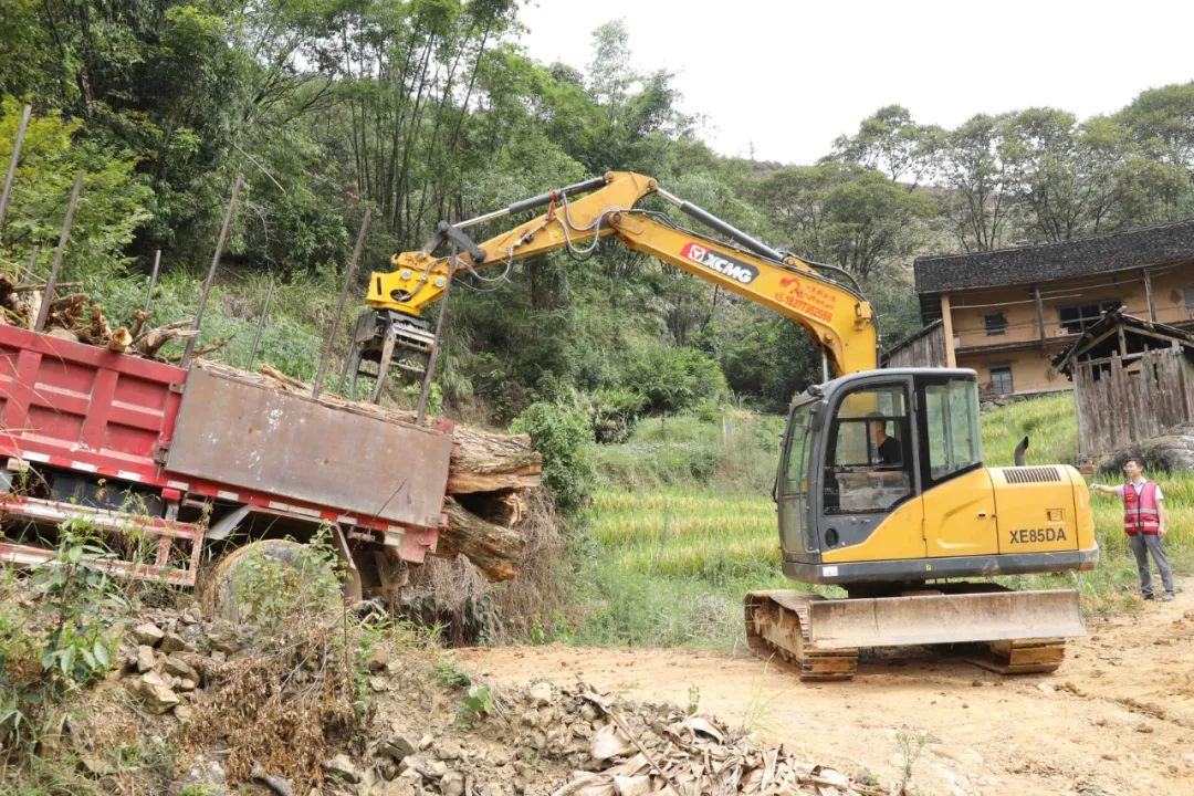 种地致富项目_开拓种植基地 致富_种植致富新项目