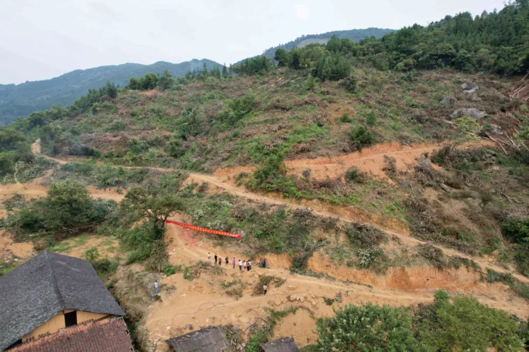 开拓种植基地 致富_种地致富项目_种植致富新项目