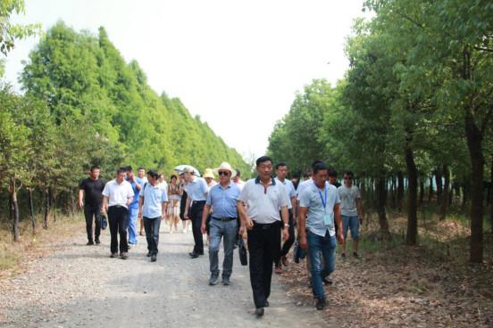 龟鳖养殖技术书_龟鳖养殖与疾病防治电子书_龟鳖的养殖