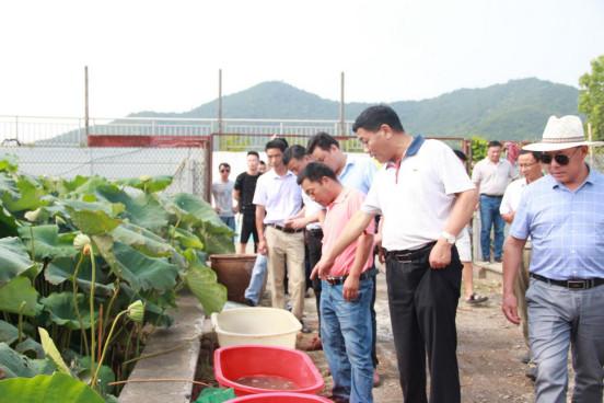 龟鳖养殖与疾病防治电子书_龟鳖养殖技术书_龟鳖的养殖