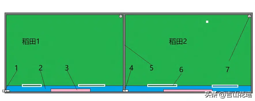 龟鳖的养殖_龟鳖养殖技术书_龟鳖养殖实用技术