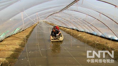 淡水虾养殖投资多少钱_致富经淡水虾养殖视频_淡水虾养殖视频教程