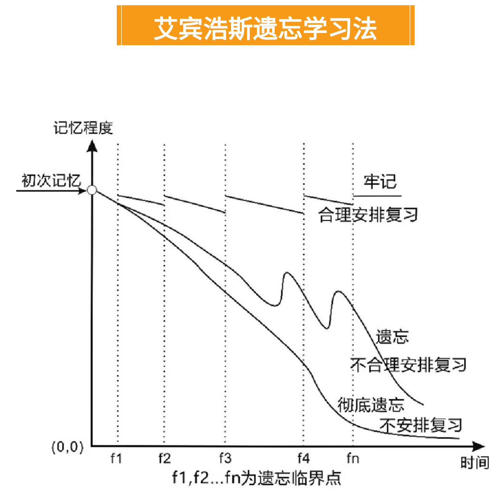 艾宾浩斯遗忘学习法