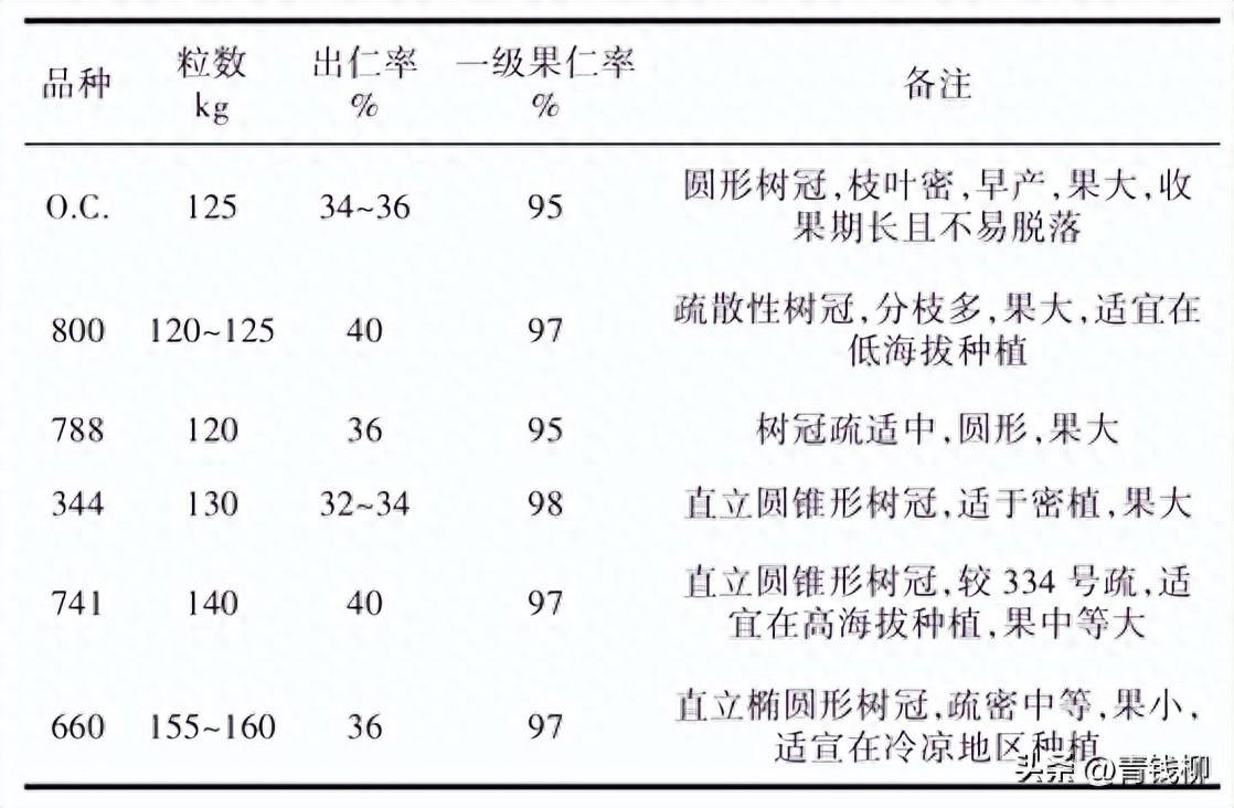 崇左澳洲坚果种植技术