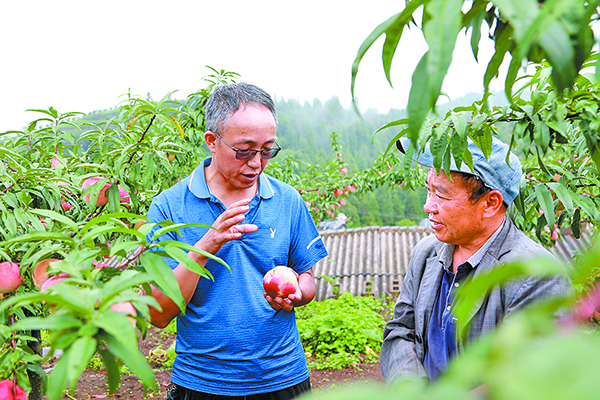 挖掘“土特产” 走稳振兴路