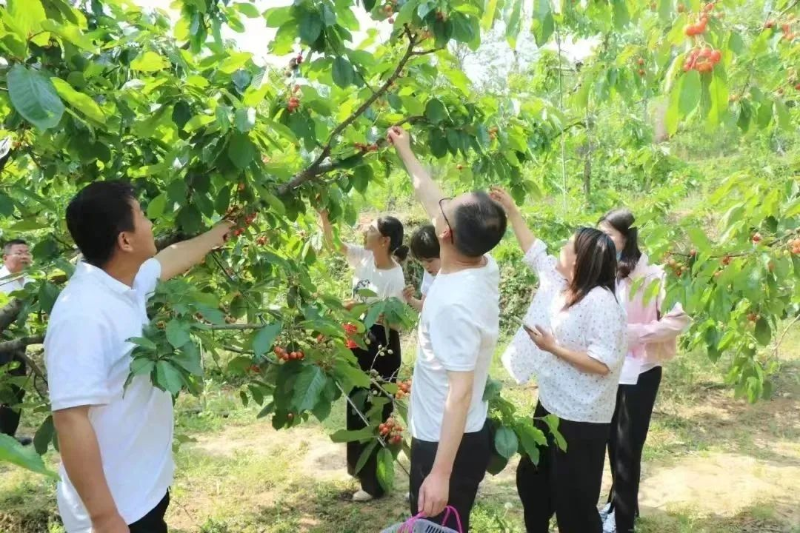 种植辣椒的视频_辣椒树种植技术视频_辣椒种植视频教程