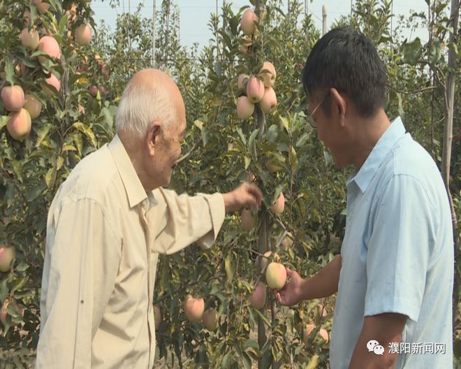 致富经种植亩收入过亿_种植经济林致富路线图_致富经种树