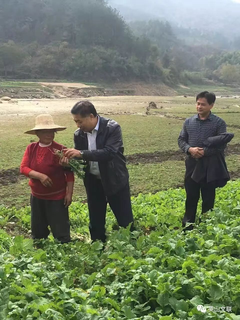 致富经丝瓜种植视频_丝瓜种植效益怎么样_丝瓜种植致富宝