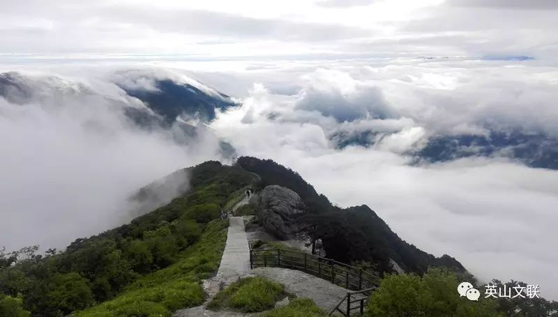 丝瓜种植效益怎么样_丝瓜种植致富宝_致富经丝瓜种植视频