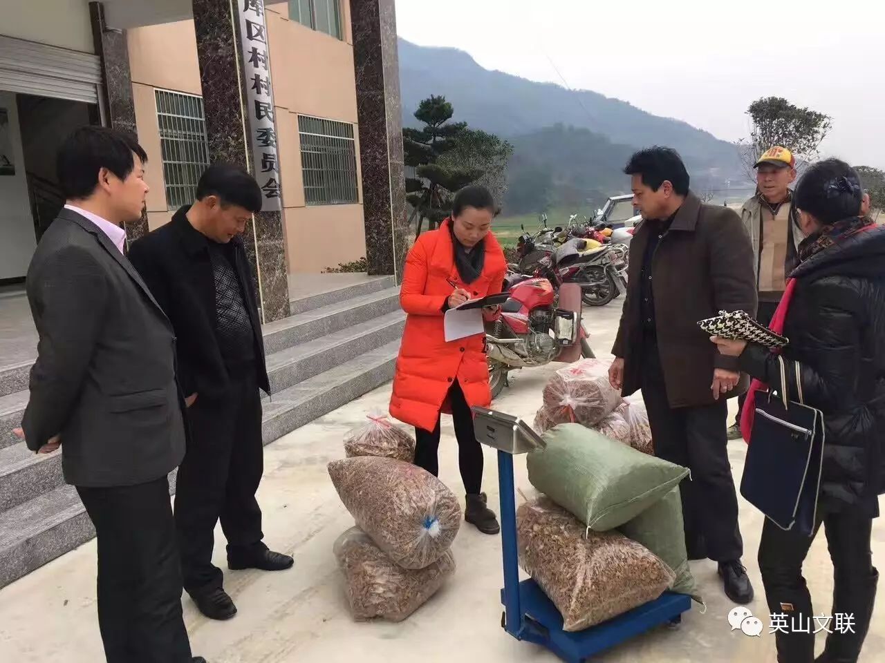 丝瓜种植效益怎么样_致富经丝瓜种植视频_丝瓜种植致富宝