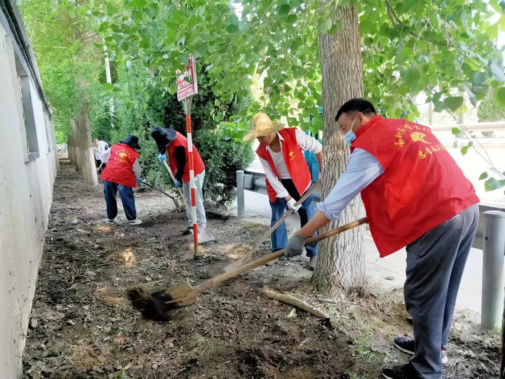 种植银杏树国家有补贴吗_致富银杏种植树图片大全_致富经种植银杏树