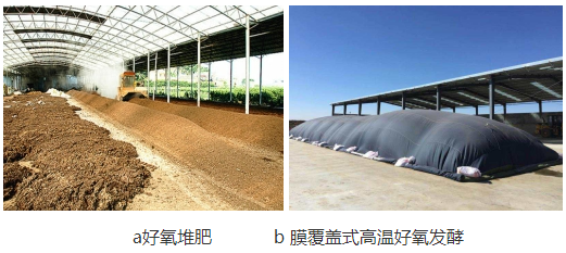 养殖鸡技术产蛋量排名_养殖鸡技术产蛋率多少_产蛋鸡养殖技术