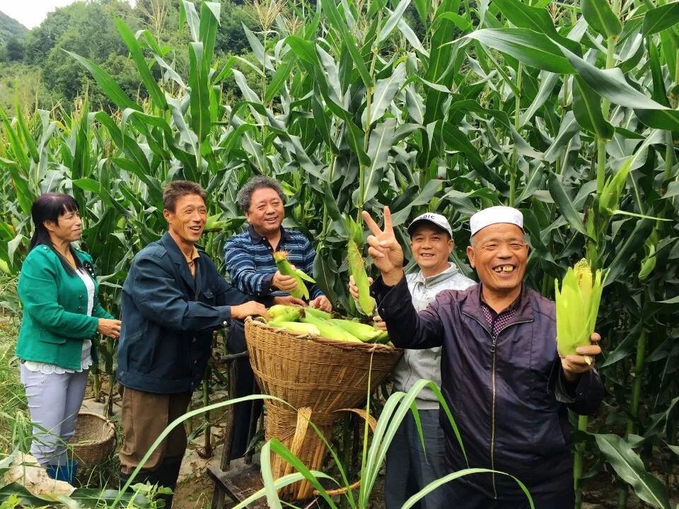 致富羊肉加工厂在哪里_羊肉深加工致富经_致富羊肉加工厂地址