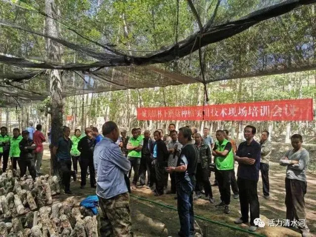 种植蘑菇致富的人_种蘑菇发家致富_蘑菇种植致富说说