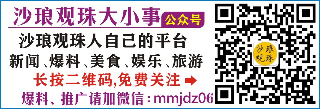 树苗种植黄皮技术视频_黄皮树苗怎么种才活_黄皮树苗和种植技术