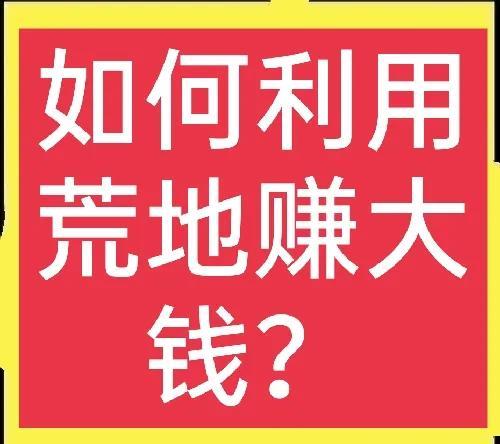 100个农村赚钱项目大分享(4):如何利用荒地赚大钱？