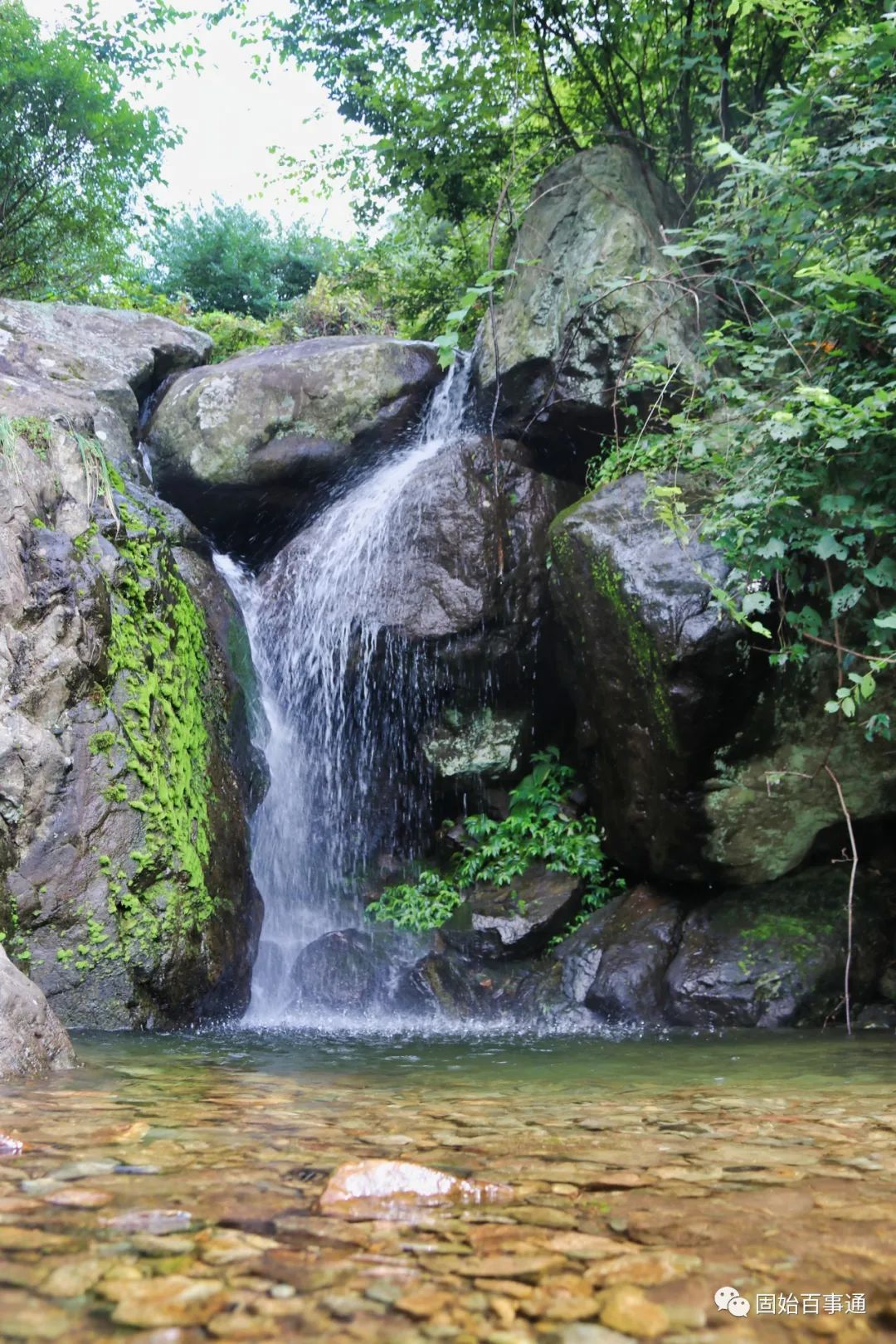 丝瓜种植致富宝_致富经丝瓜种植视频_丝瓜种植效益怎么样