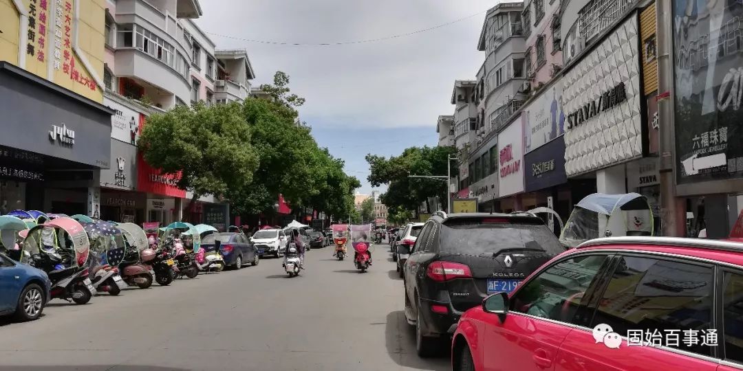 丝瓜种植效益怎么样_致富经丝瓜种植视频_丝瓜种植致富宝