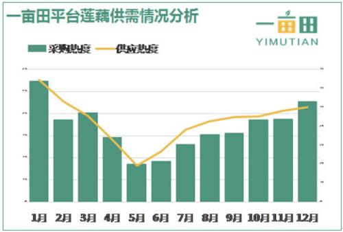 莲藕种植法_莲藕套种套养_莲藕种植与套养技术