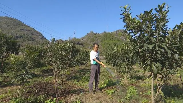 安龙：蚯蚓养殖促进农业生态循环