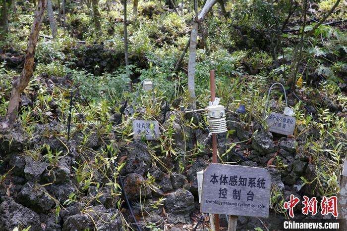 金银菇怎么做好吃_致富经金银菇_金银菇怎么吃好