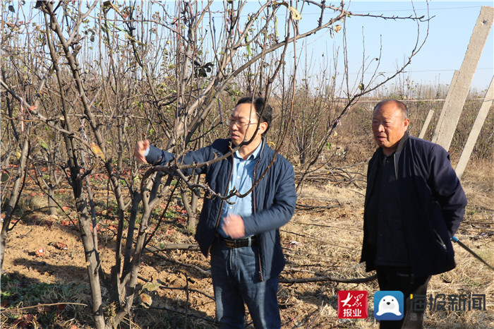 坚持生态种植致富_生态农业致富之路_致富种植生态坚持什么原则