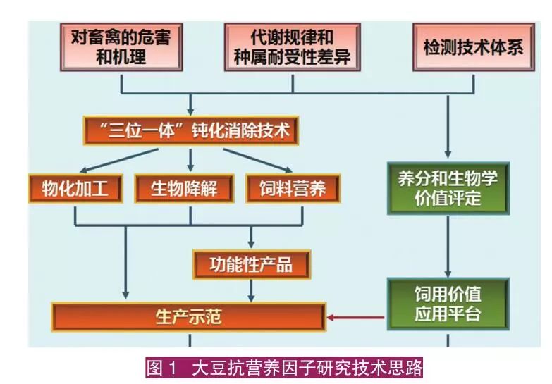 猪的养殖技术视频_子猪养殖技术大全视频_仔猪养殖技术视频播放