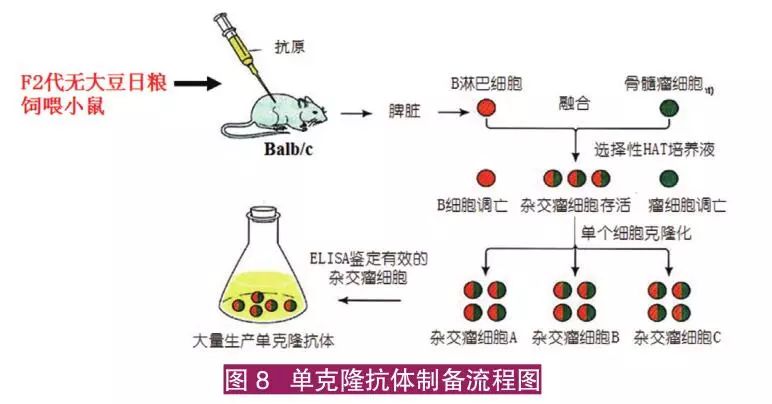 猪的养殖技术视频_仔猪养殖技术视频播放_子猪养殖技术大全视频